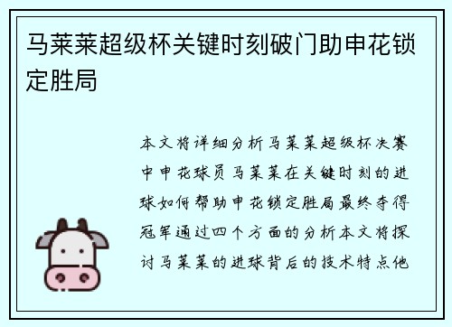 马莱莱超级杯关键时刻破门助申花锁定胜局