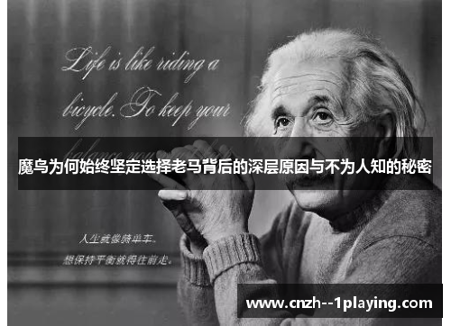 魔鸟为何始终坚定选择老马背后的深层原因与不为人知的秘密